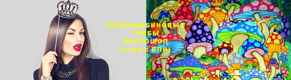 jwh Алексин