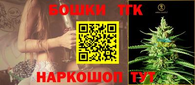 индика Новозыбков