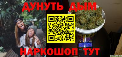 индика Новозыбков