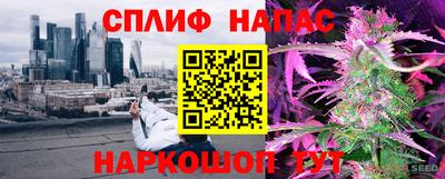 индика Новозыбков