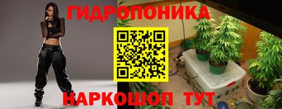 СК Абакан
