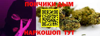 индика Новозыбков