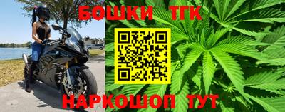 индика Новозыбков